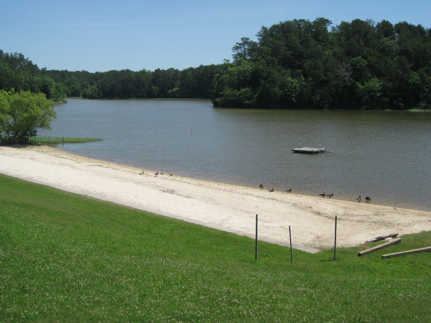 Salacoa Creek Park Photo Gallery Gordon County, GA